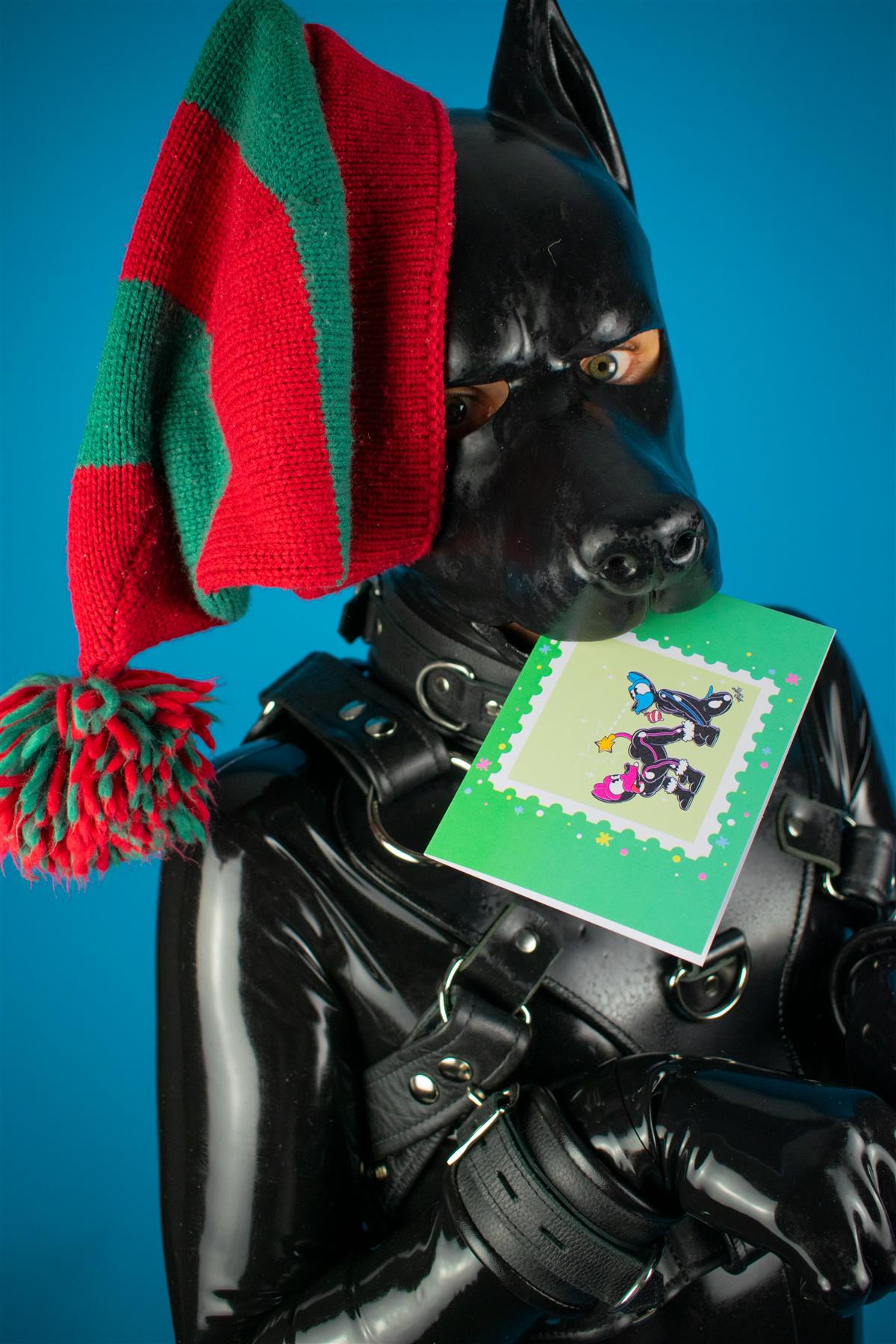 "Sex Dogs" Xmas Card Pack