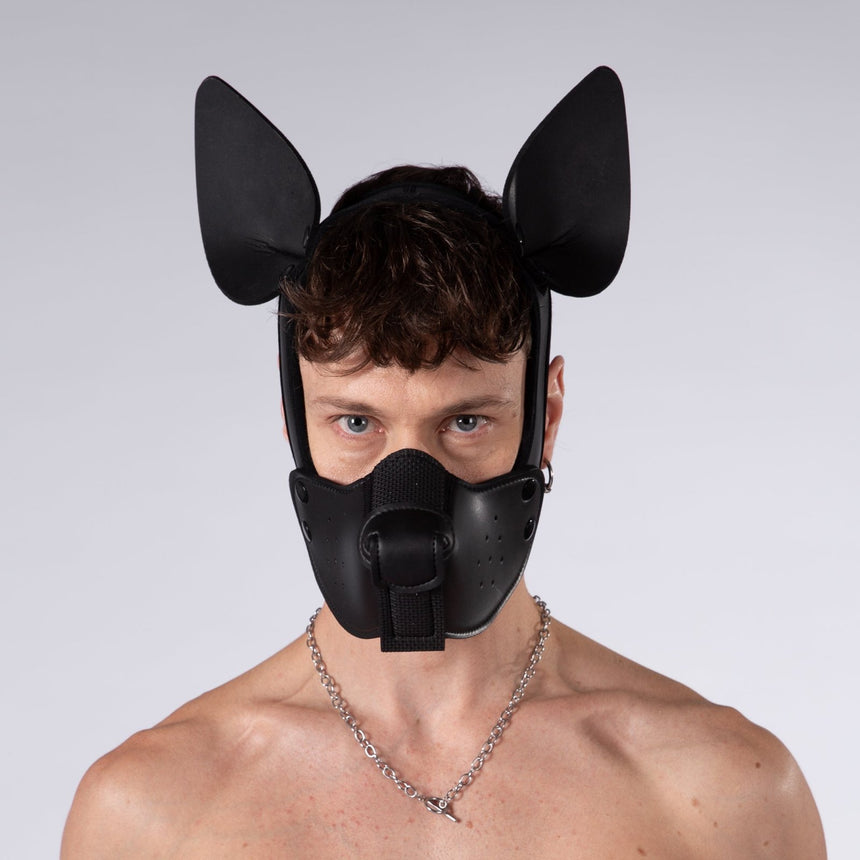 Mistr Bear Neo K9 Pup Hood with Ears, Shiny Black from Mistr Bear.