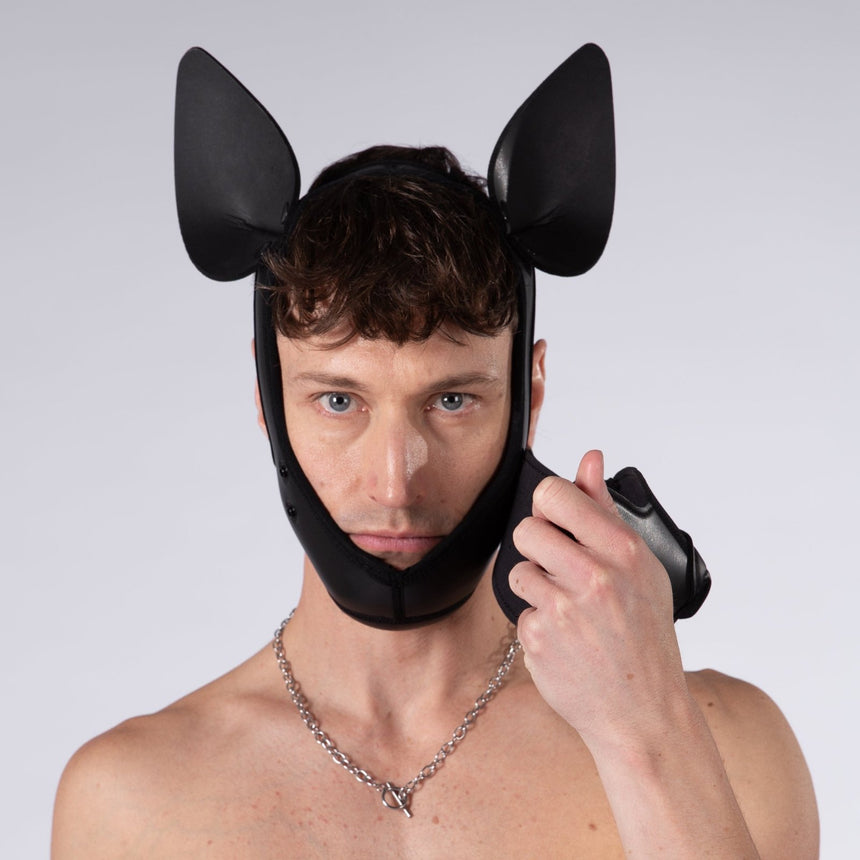 Mistr Bear Neo K9 Pup Hood with Ears, Shiny Black from Mistr Bear.