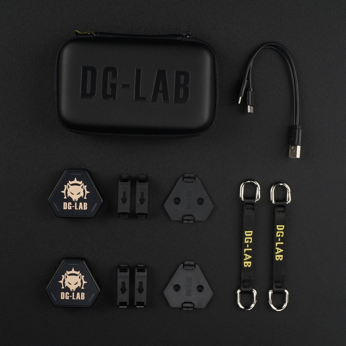 PawPrints Wireless Button from Dungeon Lab.