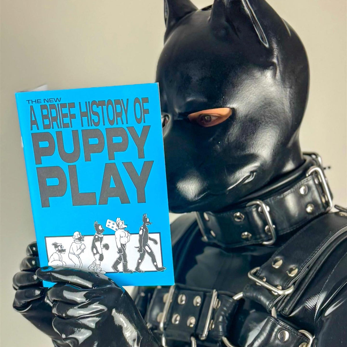 The New Brief History of Pup Play (A5 Zine) from James Newland Illustration.
