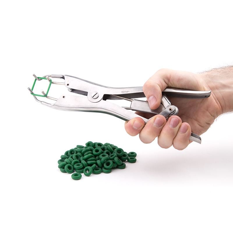 Torture Plier Set - Elastrator from REGULATION.