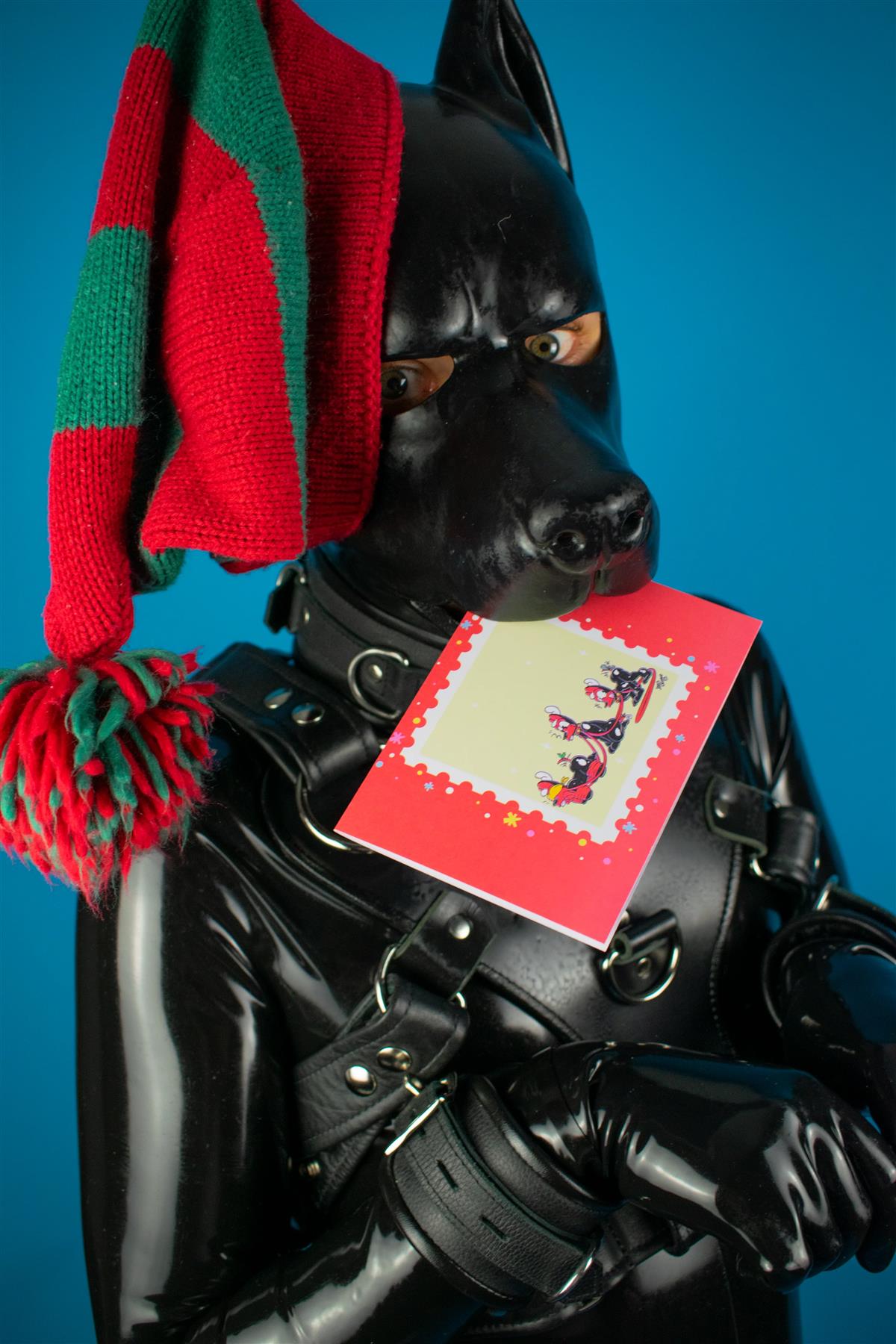 "Sex Dogs" Xmas Card Pack