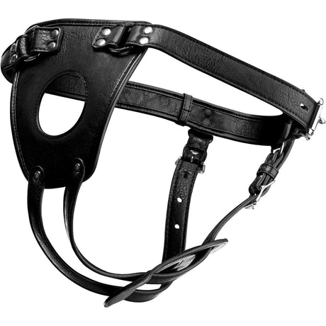 Ass Holster Anal Plug Harness from Master Series.