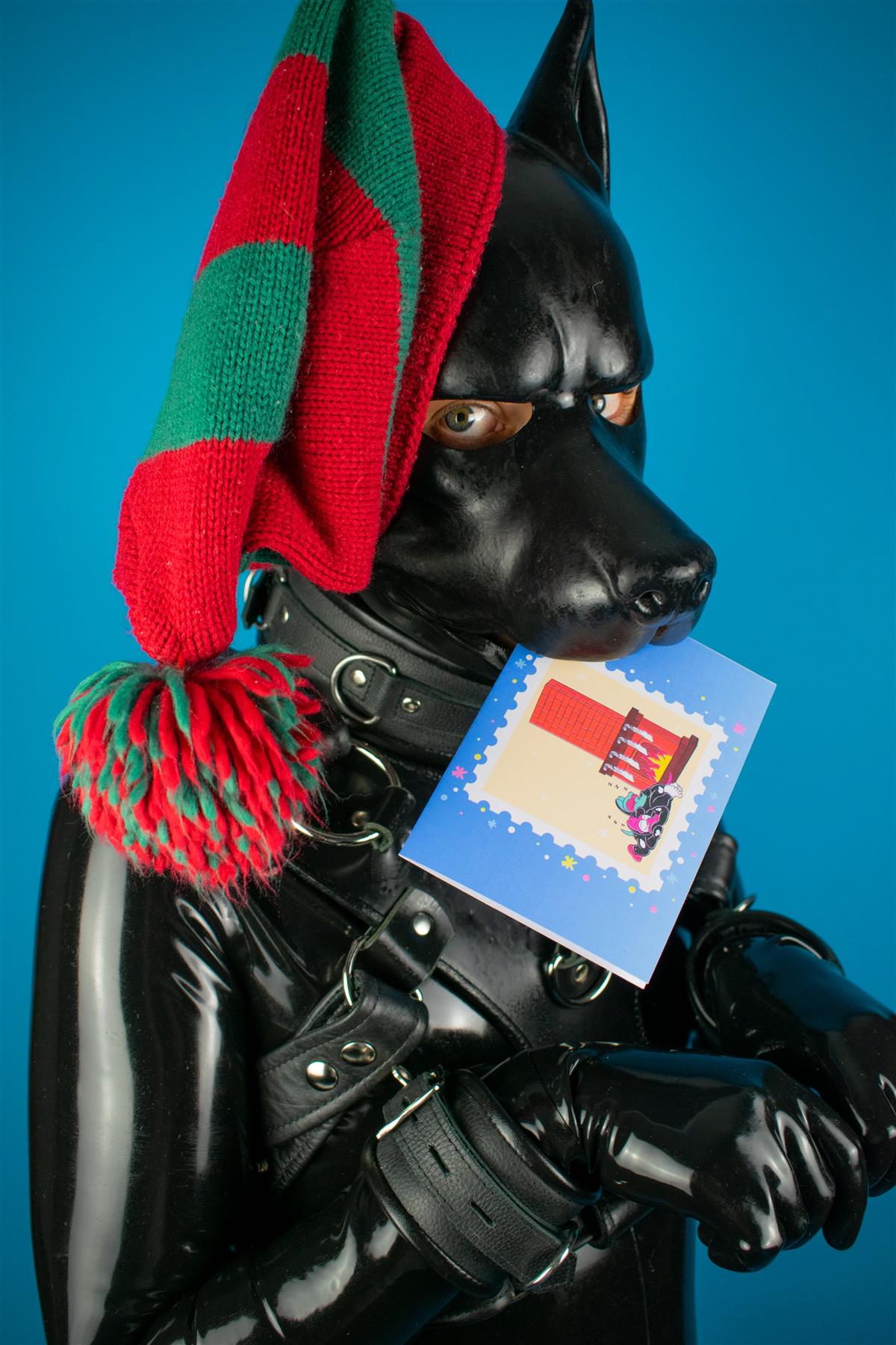 "Sex Dogs" Xmas Card Pack