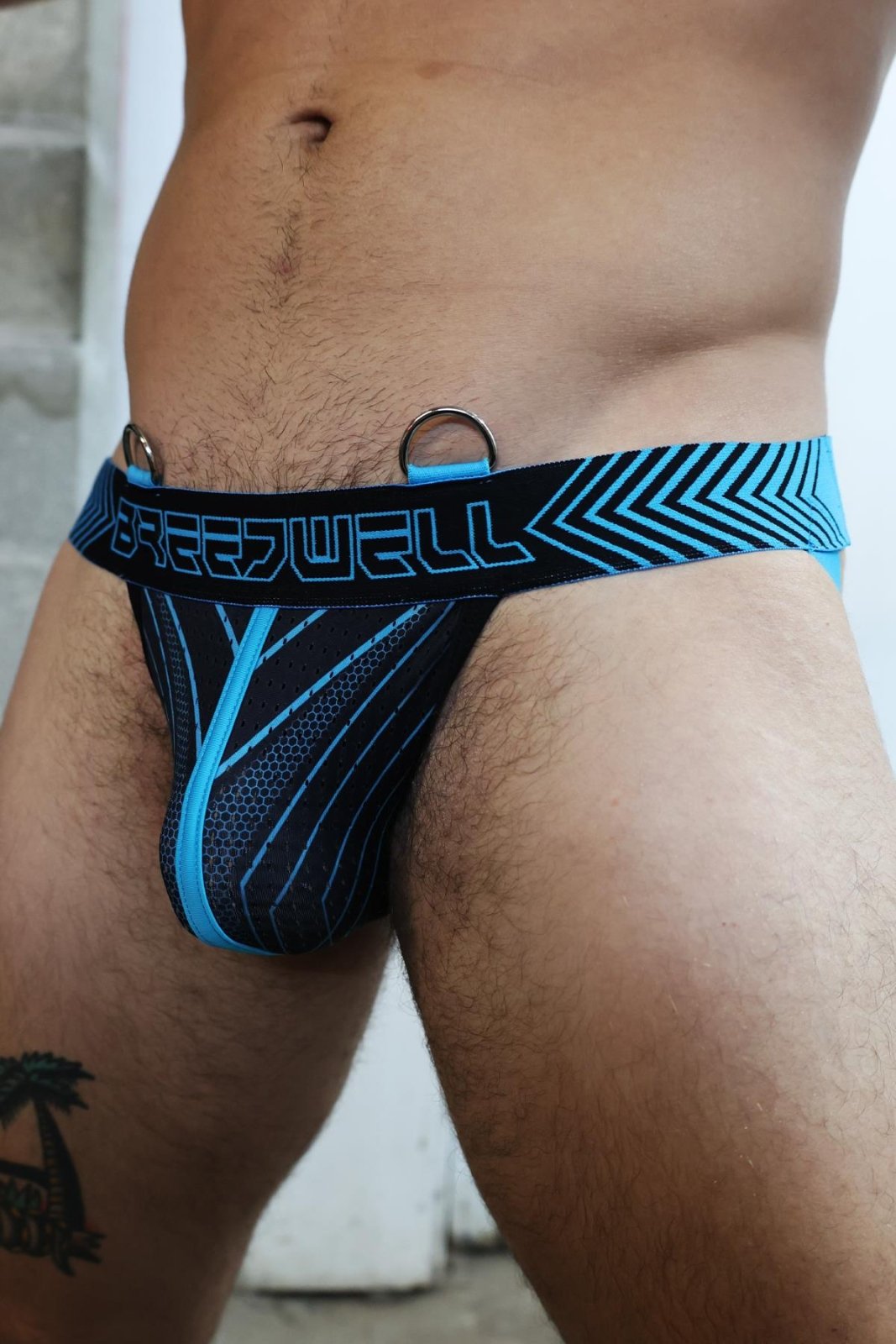 Breedwell Futura Jock, Aqua Blue from Breedwell.