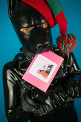 "Dickoration" Xmas Card Pack from James Newland Illustration.