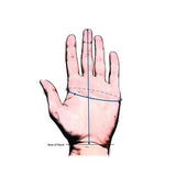 Polizei-Inspektionshandschuhe aus Leder