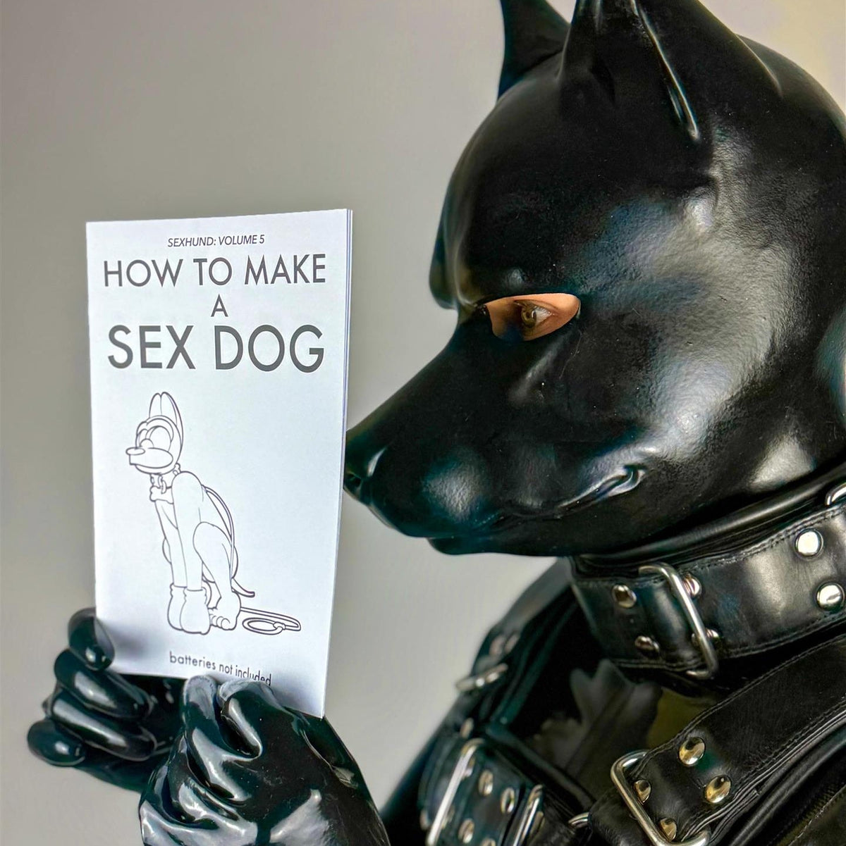 How to Make a Sex Dog V5 (A5 Zine) from James Newland Illustration.