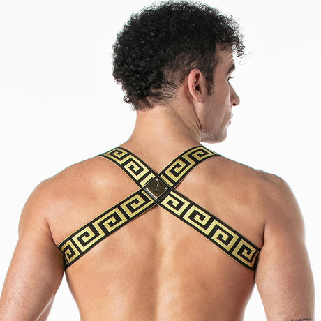 LEADER Invictus Harness, Black/Gold from Leader.