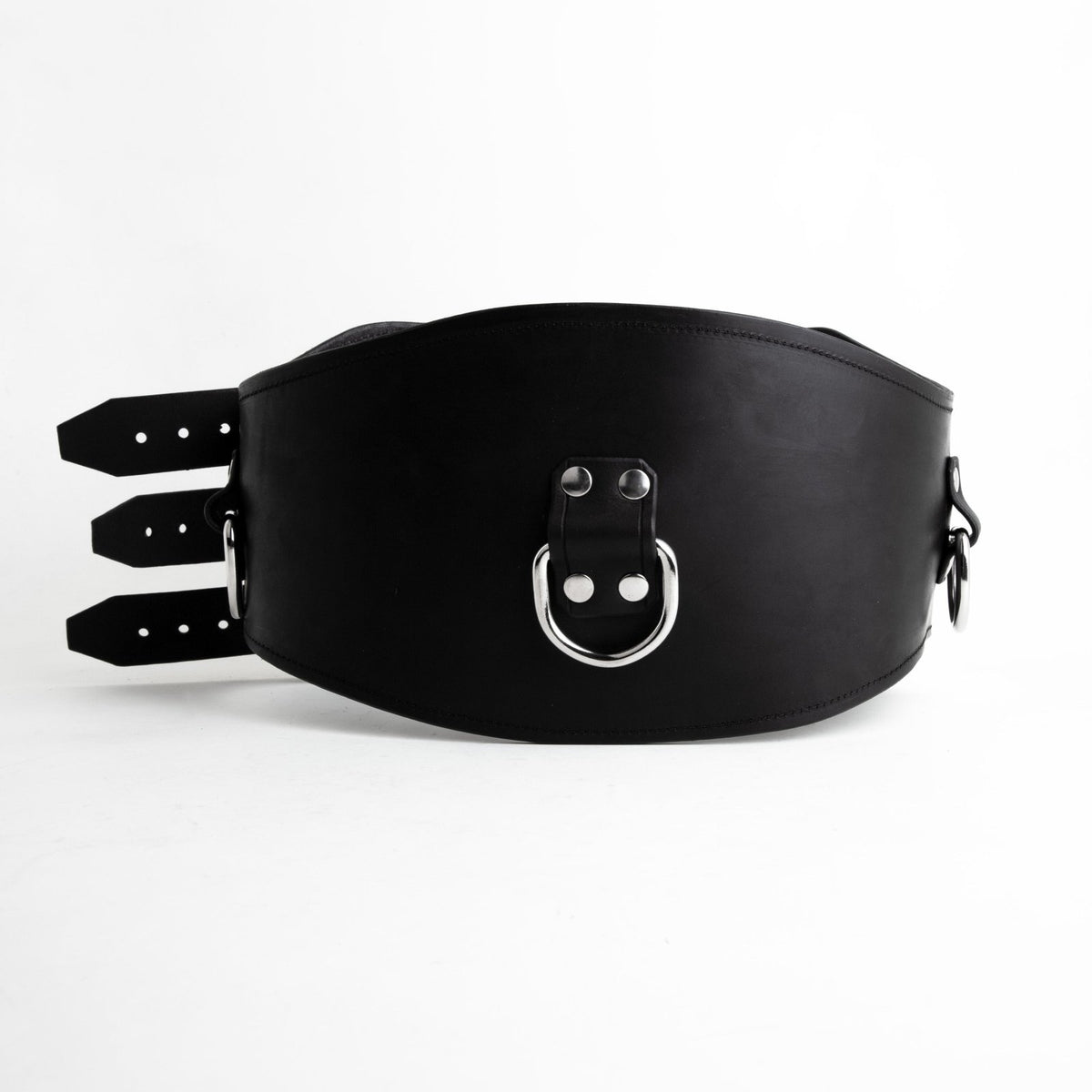 Leather Corset Cincher from Fetters.