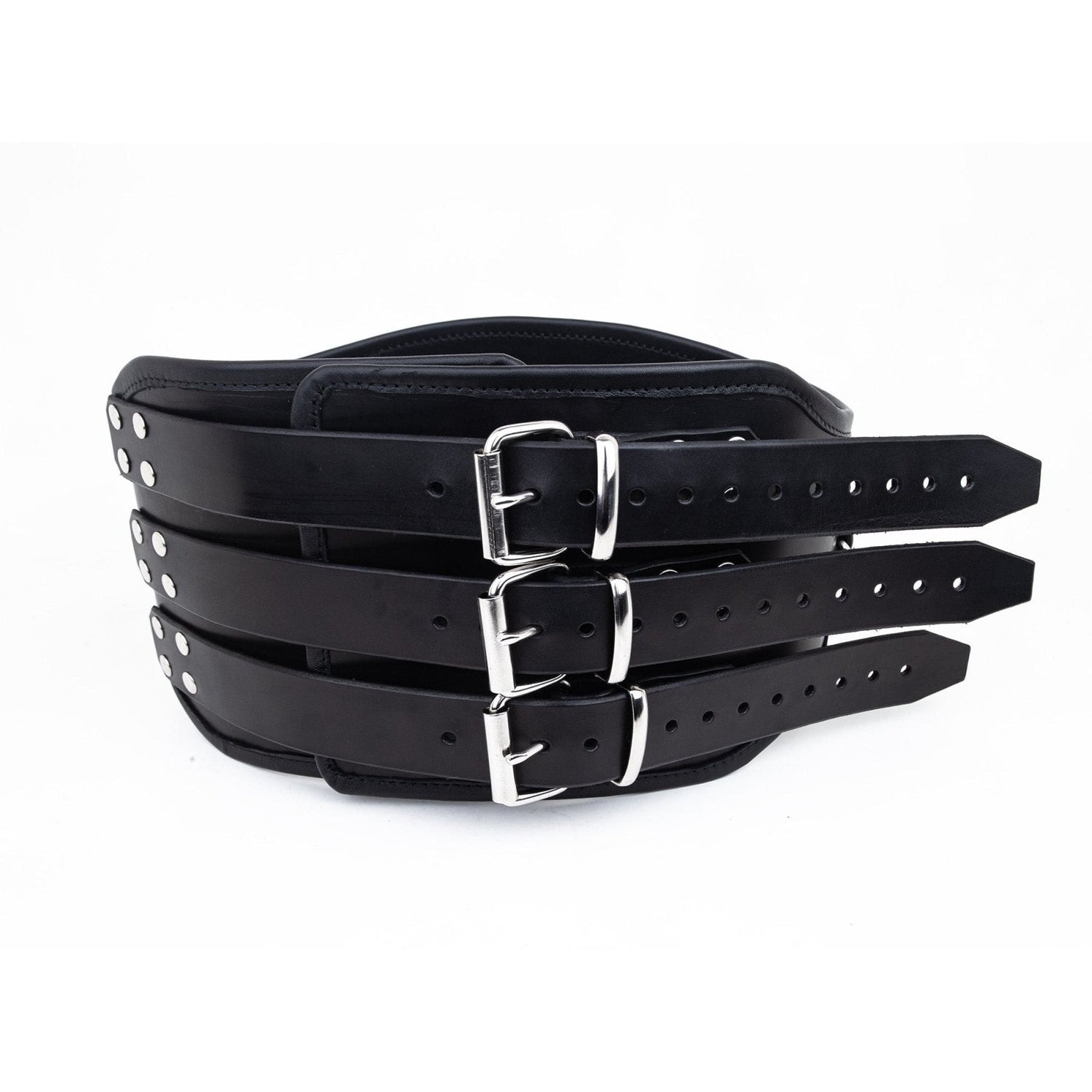 Leather Corset Cincher from Fetters.