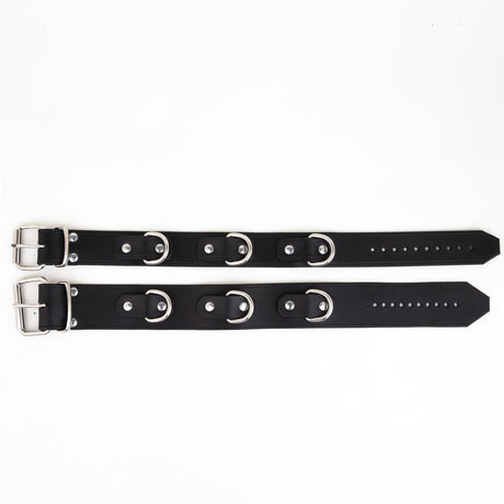 Leather D Ring Collar from REGULATION.
