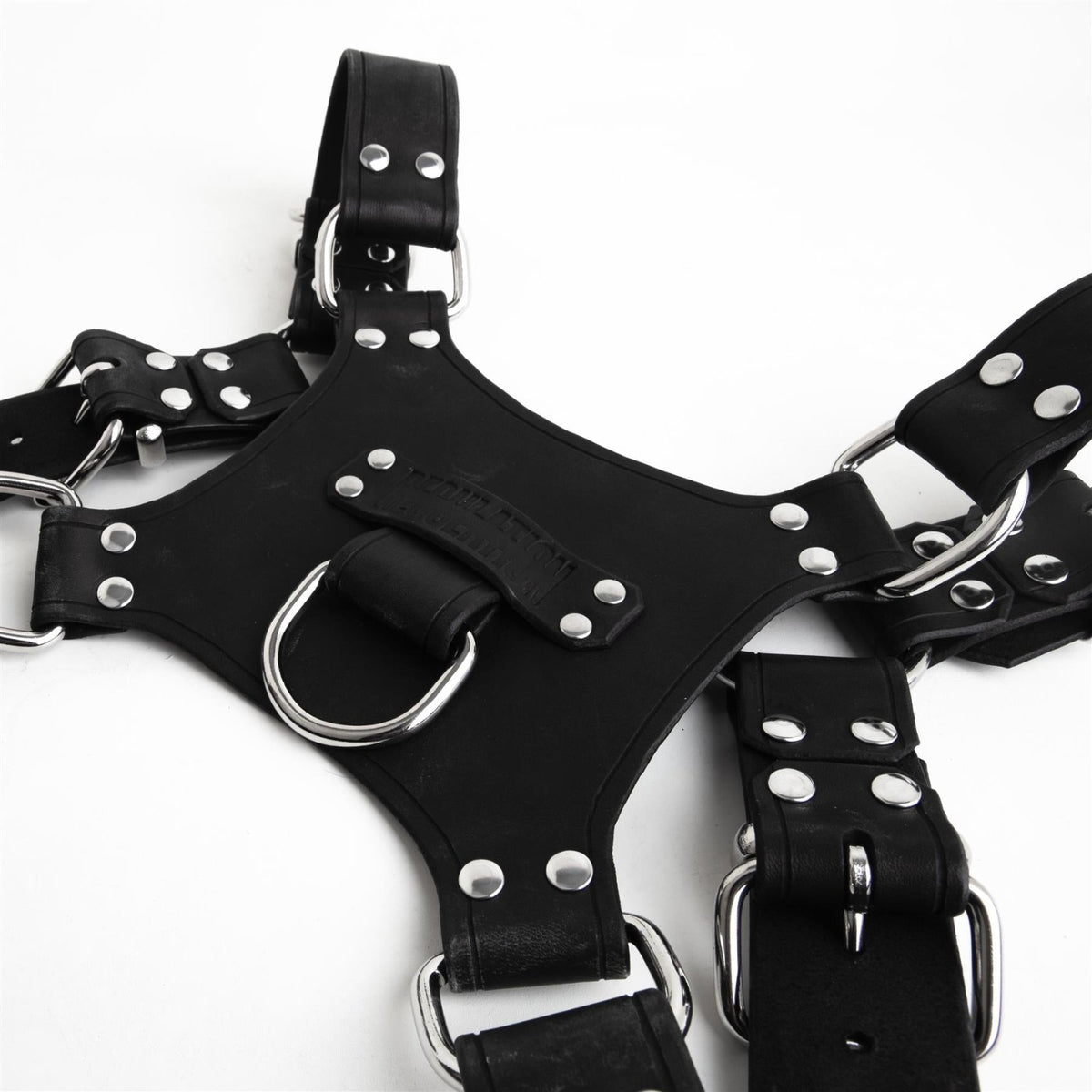 Leather Pincer Harness from REGULATION.