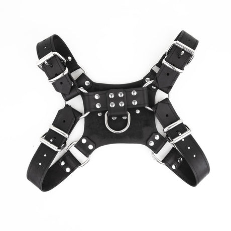 Leather Pincer Harness from REGULATION.