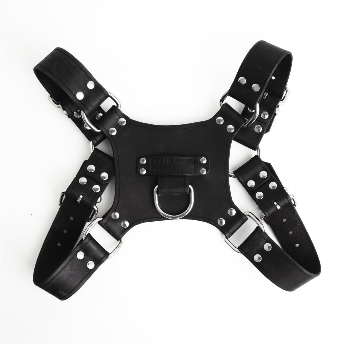 Leather Pincer Harness from REGULATION.