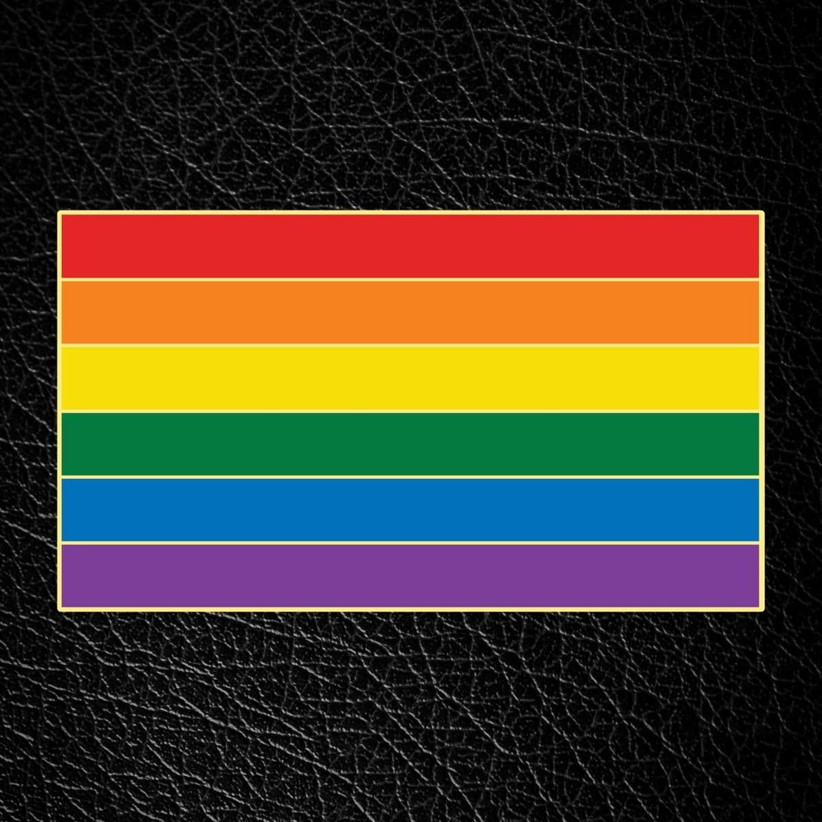 Master of the House Pin, RAINBOW FLAG from Master of The House.