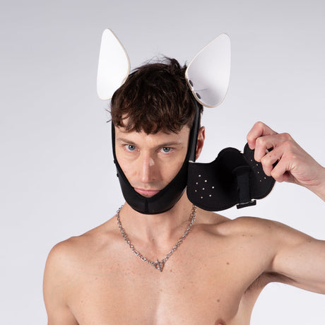 Mistr Bear Neo K9 Hood with Ears, White from Mistr Bear.
