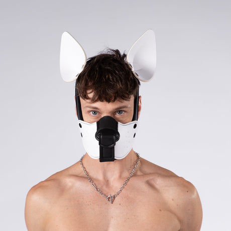 Mistr Bear Neo K9 Hood with Ears, White from Mistr Bear.
