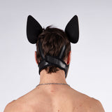Mistr Bear Neo K9 Hood with Ears, White from Mistr Bear.