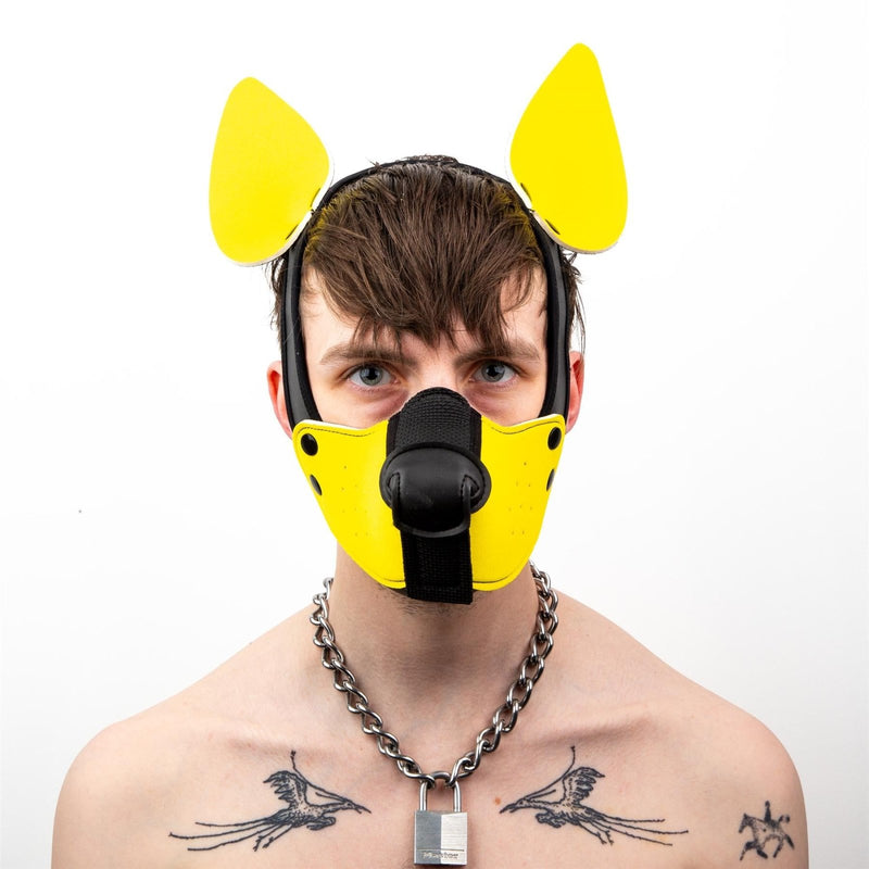 Mistr Bear Neo K9 Hood with Ears, Yellow from Mistr Bear.