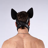 Mistr Bear Neo K9 Pup Hood with Ears, Blue from Mistr Bear.