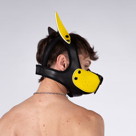 Mistr Bear Neo K9 Pup Hood with Ears, Yellow from Mistr Bear.