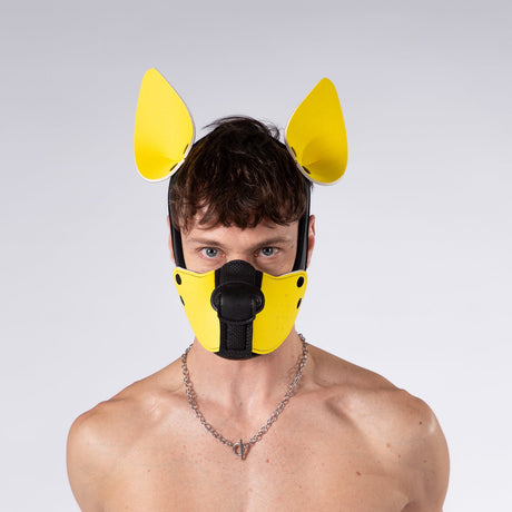 Mistr Bear Neo K9 Pup Hood with Ears, Yellow from Mistr Bear.