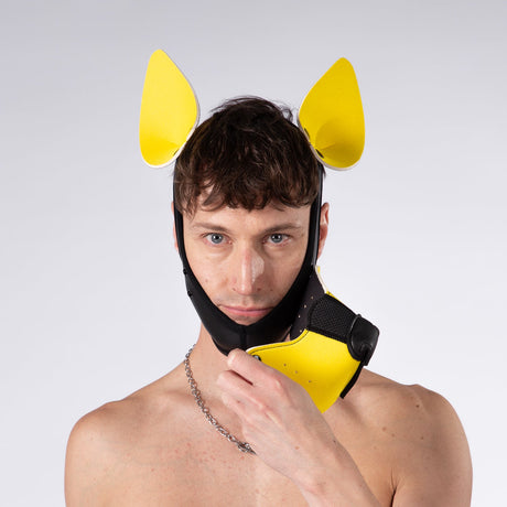 Mistr Bear Neo K9 Pup Hood with Ears, Yellow from Mistr Bear.