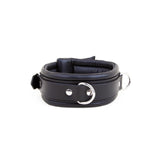 Padded Leather Collar 5cm from REGULATION.