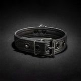 Puppy Collar, Black from Mr S Leather.