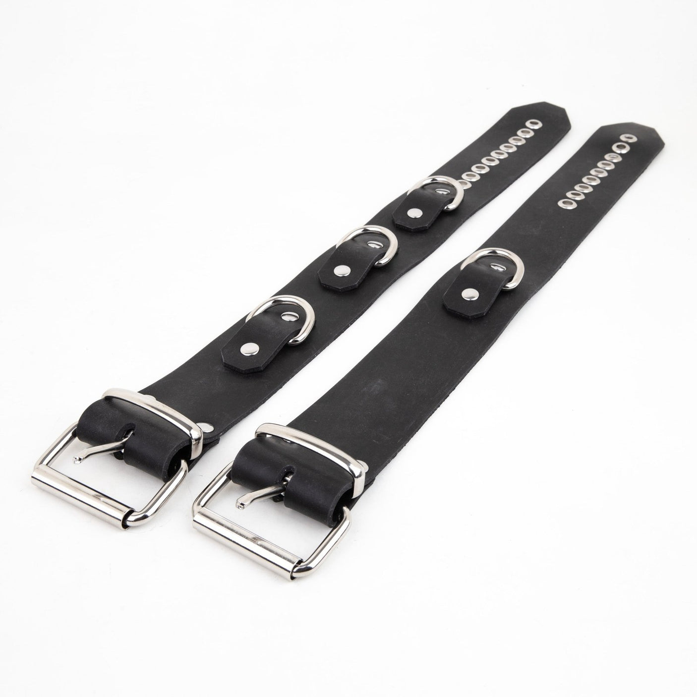 Rubber D Ring Collar from REGULATION.