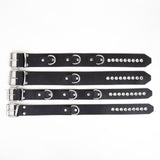 Rubber D Ring Collar from REGULATION.