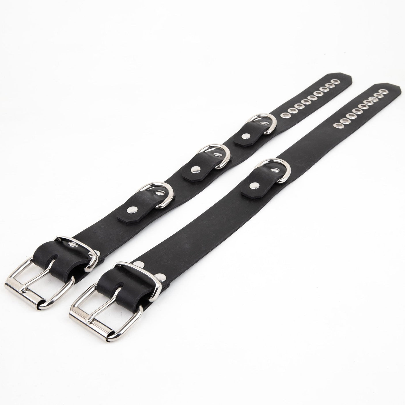 Rubber D Ring Collar from REGULATION.