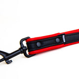 Short Leash, Leather, Black/Red from REGULATION.