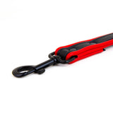 Short Leash, Leather, Black/Red from REGULATION.