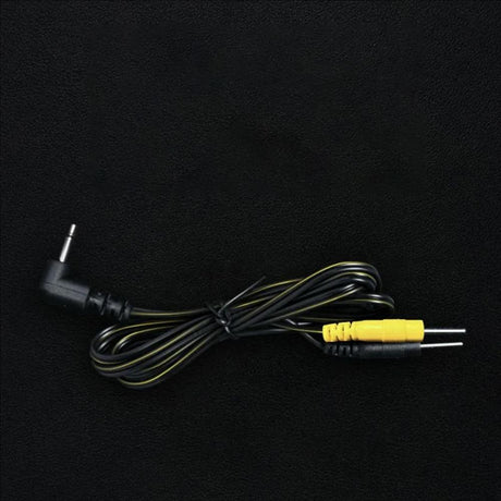 Standard Dual-Pin Electrode Cable from Dungeon Lab.