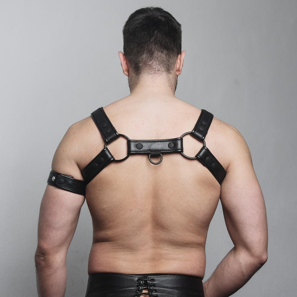 Geschirr aus Karabinerleder