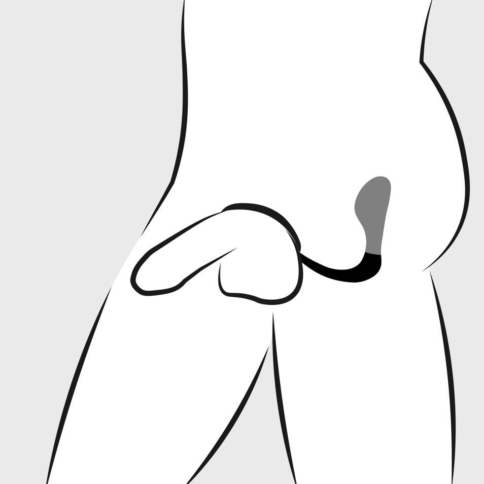 Ass-Gasm Cockring P-Spot Plug from anal fantasy.