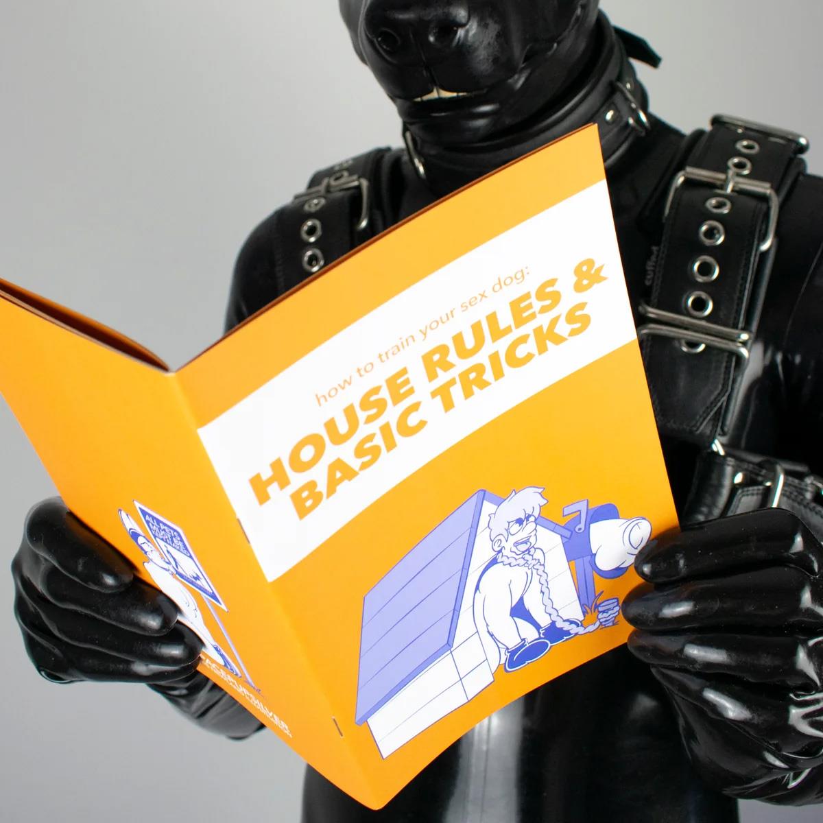 House Rules and Basic Tricks (A5 Zine) from James Newland Illustration.