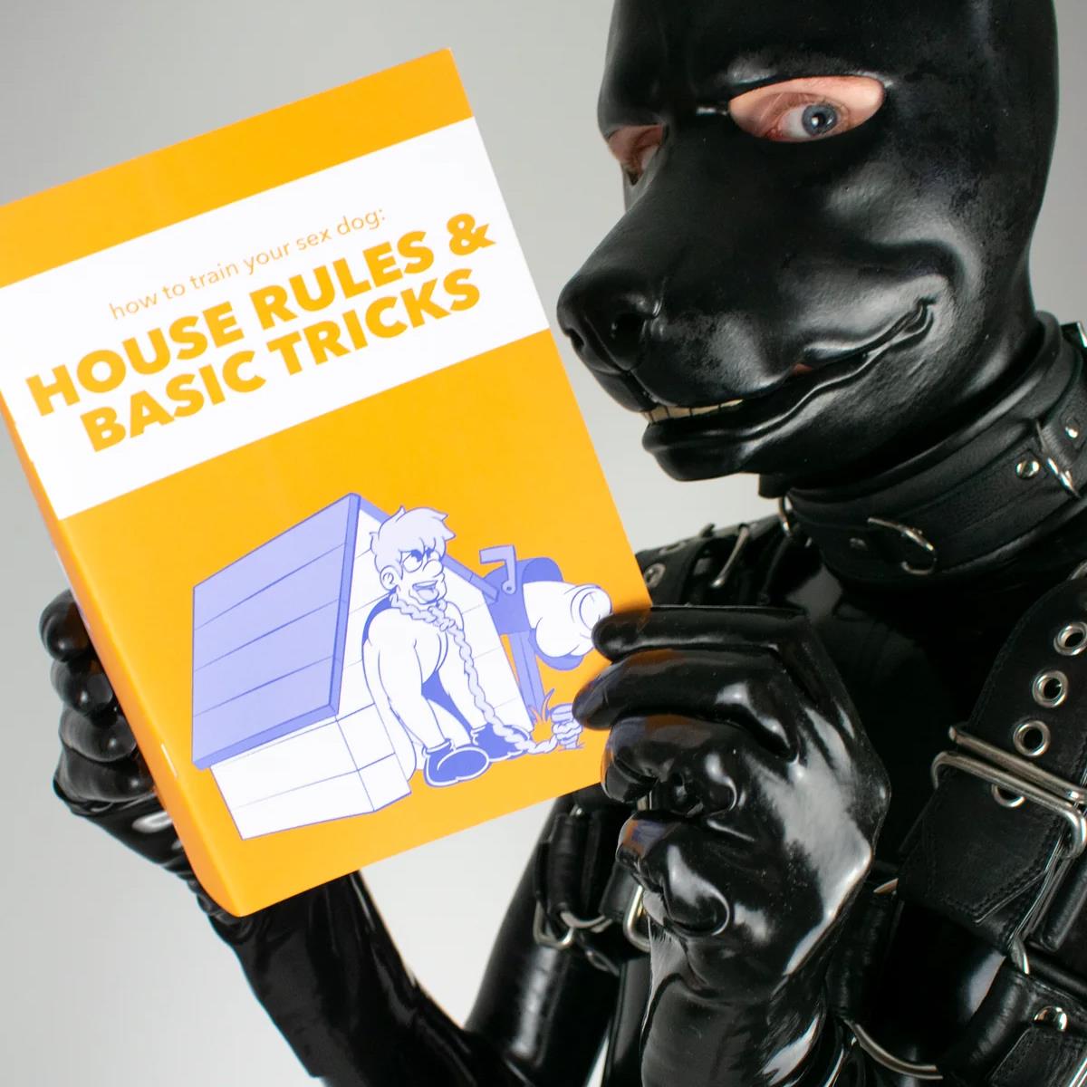 House Rules and Basic Tricks (A5 Zine) from James Newland Illustration.