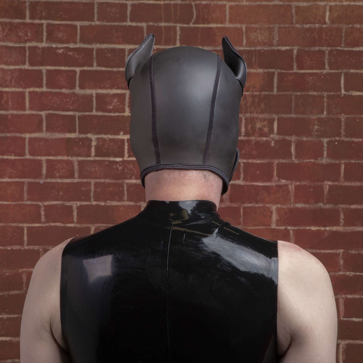 K9 Puppy Hood, Black from Mr S Leather.