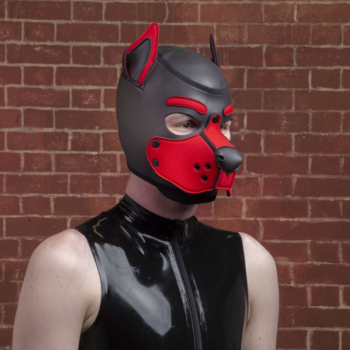 K9 Puppy Hood, Red from Mr S Leather.