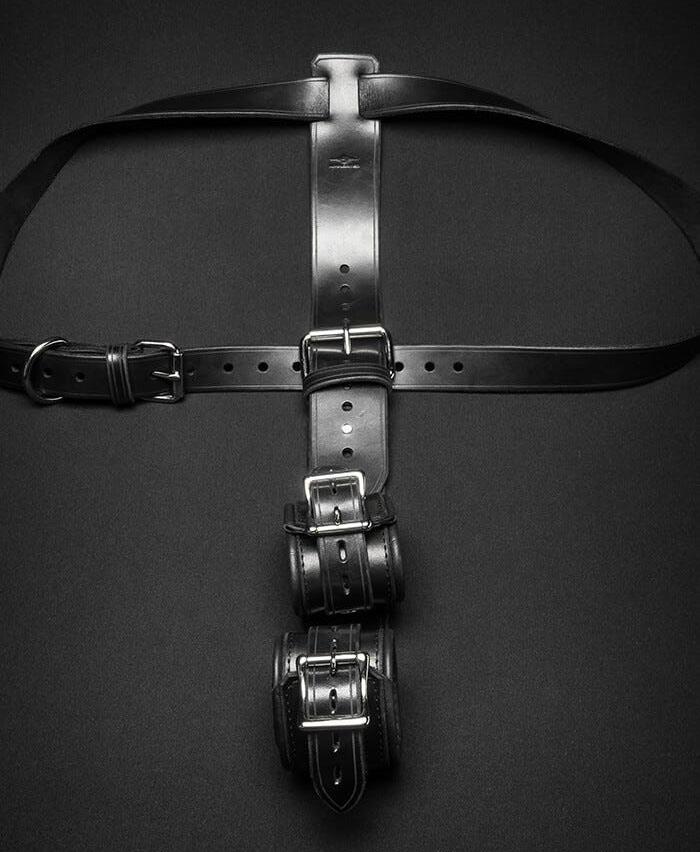 Leather Shoulder to Wrist Restraint from Mr S Leather.