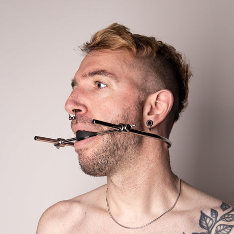 Mouth Bound - Steel & Rubber Ball Gag from SM Domain.