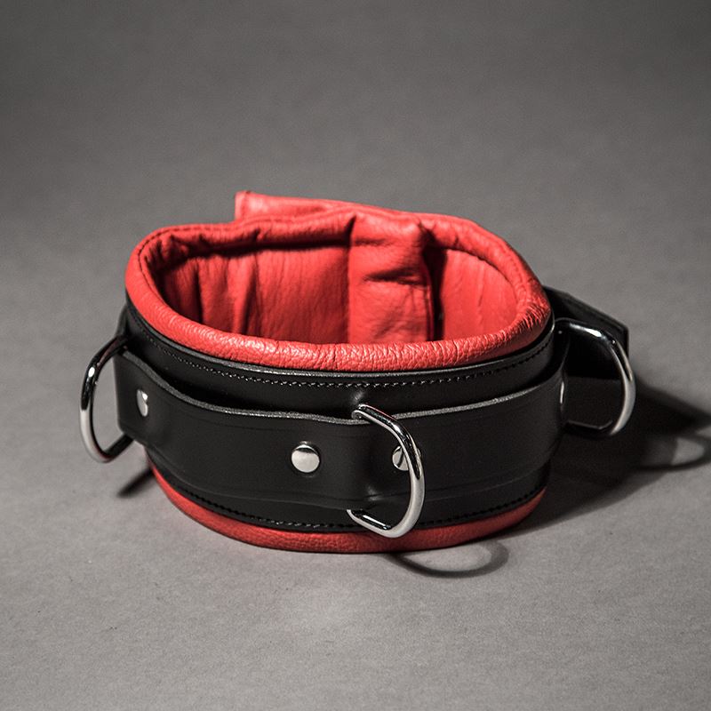 Padded Leather Collar from Fetters.