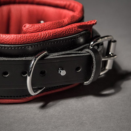 Padded Leather Collar from Fetters.