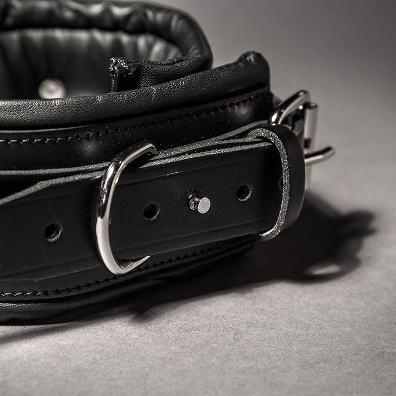 Padded Leather Collar from Fetters.