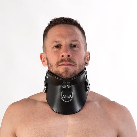 Padded Leather Posture Collar from REGULATION.