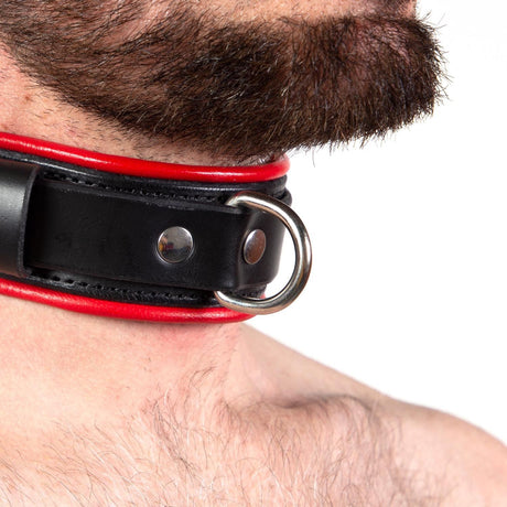 Piped Locking Leather Collar from REGULATION.